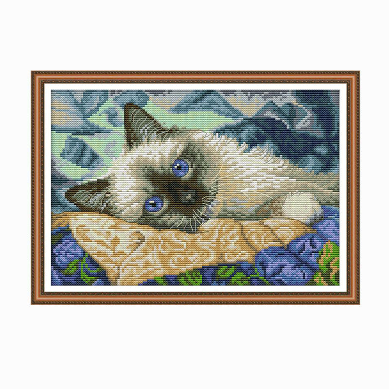 Picture of blue eyed cat