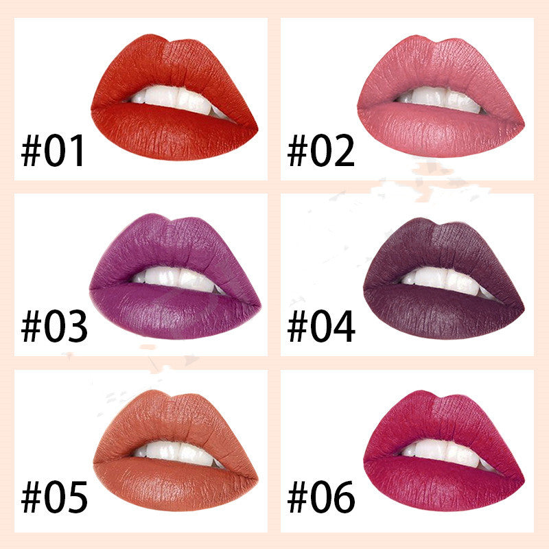 Private Label New 6 Colors Luxury Platinum Waterproof Matte Long Lasting Makeup Lipstick
