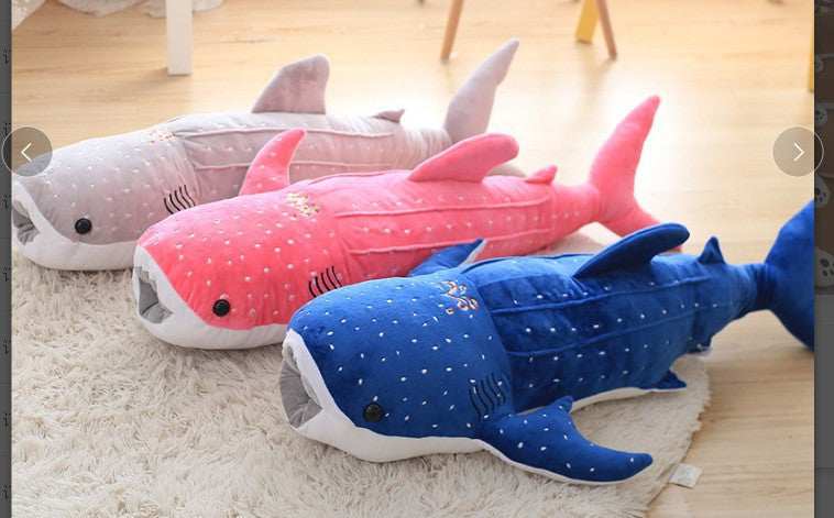 Sea Animal Blue Shark Whale