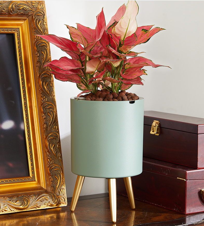 Automatic Self-Watering Flower Pot With Water Level Indicator Floor-standing Storage Basin Modern Design Ideal Gift For Friends