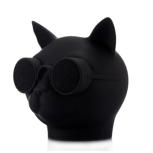 Cool Cat Portable solar Verizon new speaker with LED light