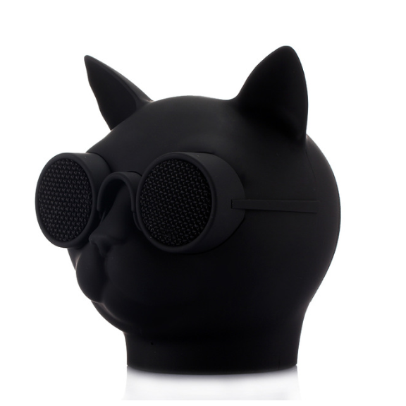 Cool Cat Portable solar Verizon new speaker with LED light