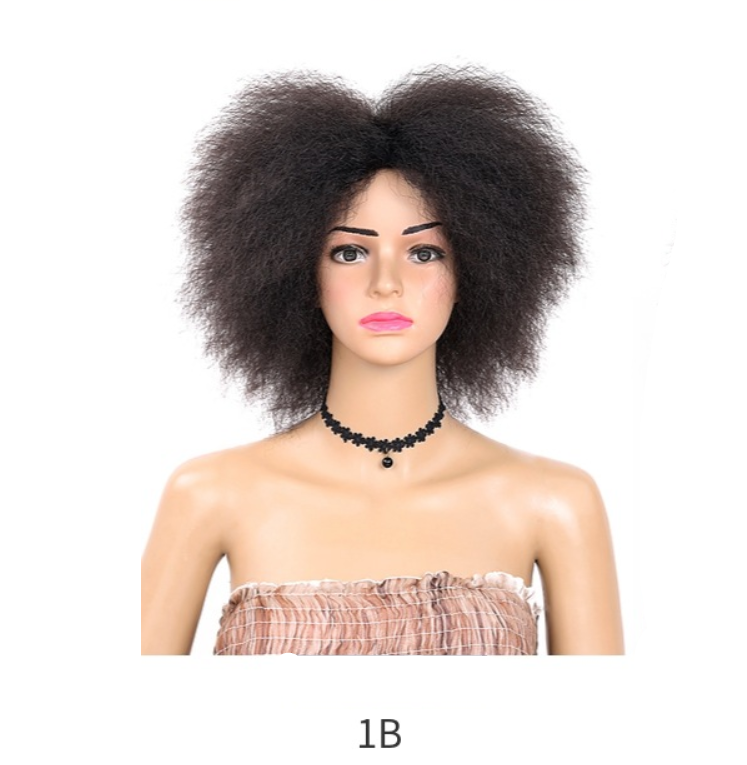 Fluffy curly hair wig