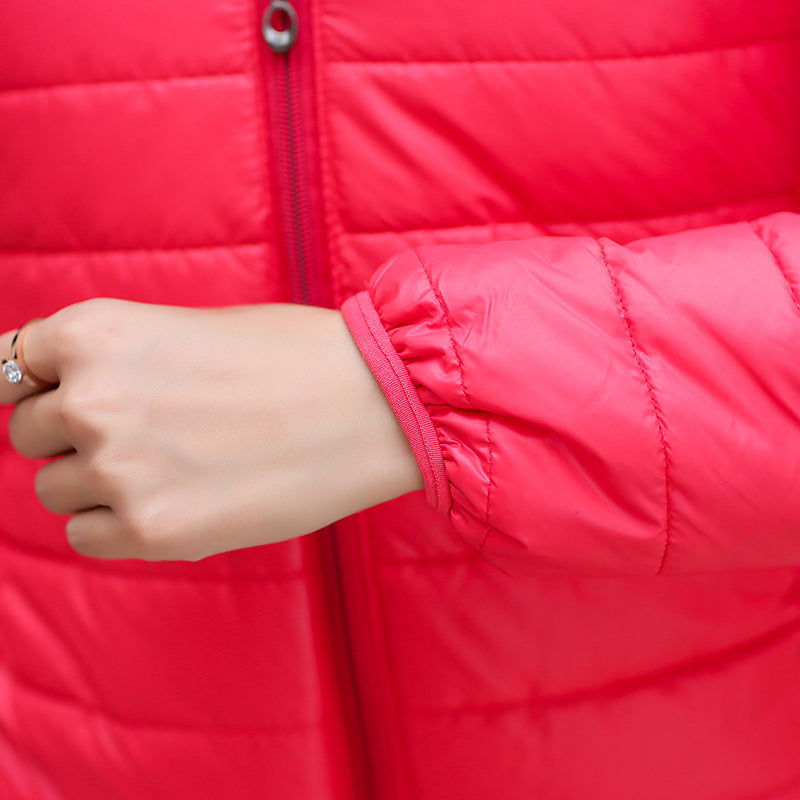 winter dresses down padded short Hooded Coat slim female students thickened fruit color cotton padded jacket