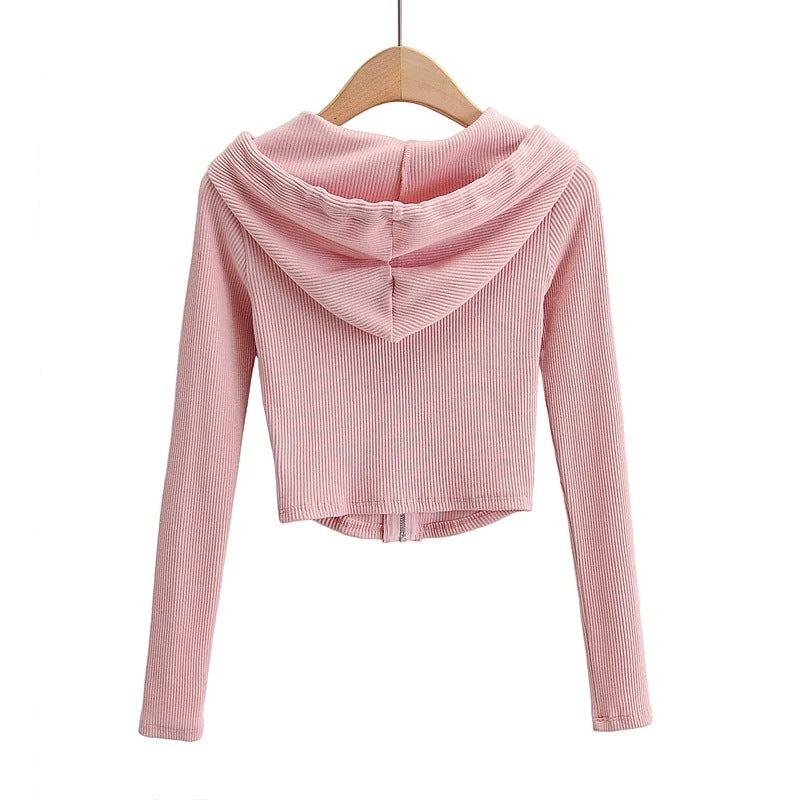 Zip Pocket Hooded Top Stretch Pants Knit Suit