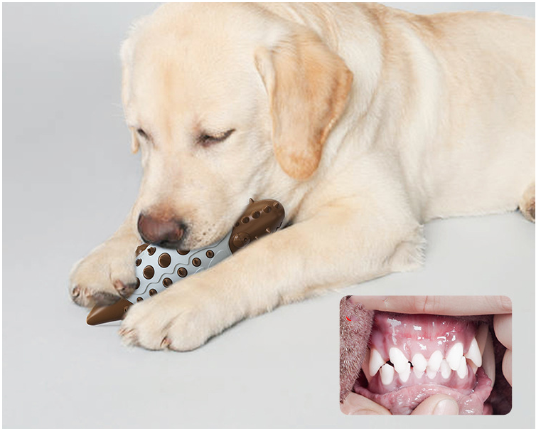Dog Toy Leaking Ball Molar Teeth Cleaning