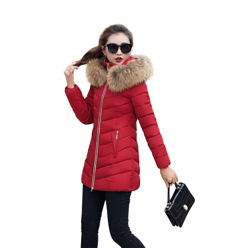 Fur collar down cotton